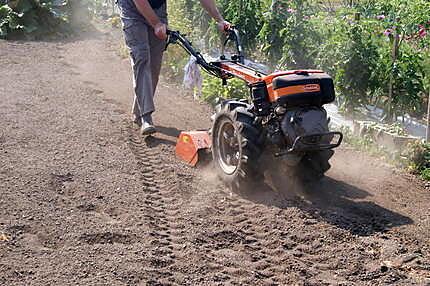 recette Les bienfaits des poireaux et comment en planter....