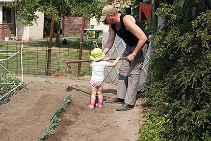 recette Les bienfaits des poireaux et comment en planter....