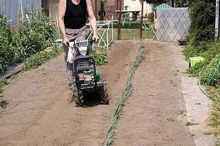 recette Les bienfaits des poireaux et comment en planter....