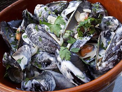 recette Moules sauce poulette