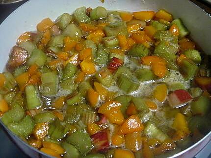 recette confipote rhubarbe et aux abricots.