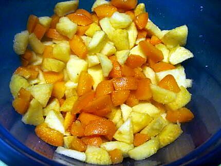 recette Compote de pommes et aux abricots.