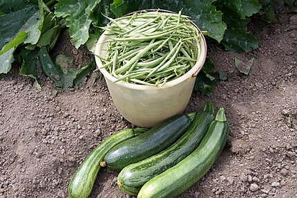 recette Haricots verts tout simple et....