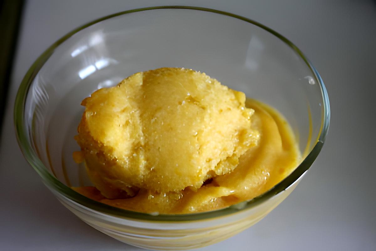 recette Sorbet Mirabelle