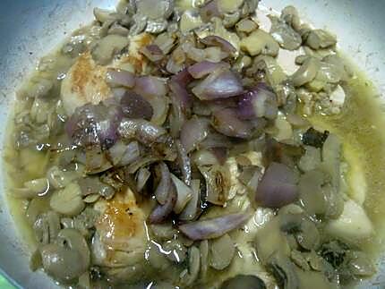 recette Blancs de poulet au épice de curcuma.