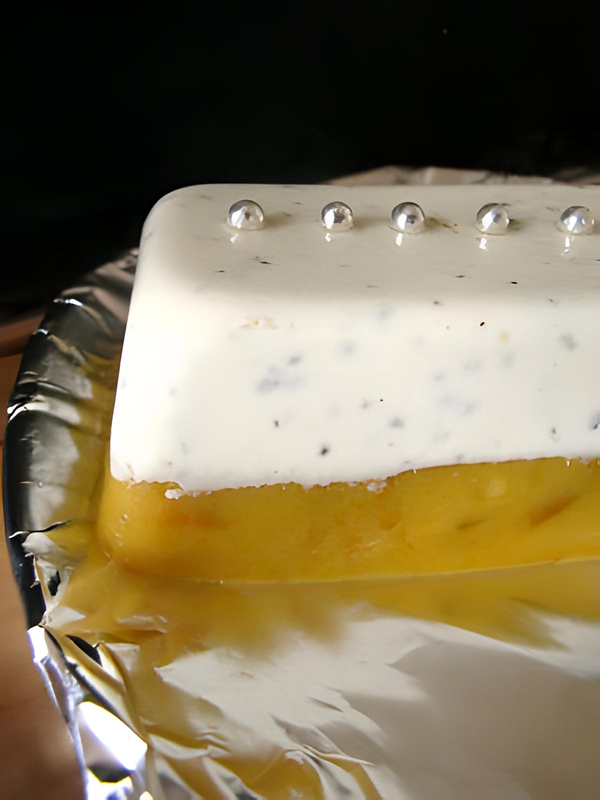 recette TERRINE PANNA COTTA BASILIC-ORANGER ET GELÉE DE MIRABELLES AU MIEL