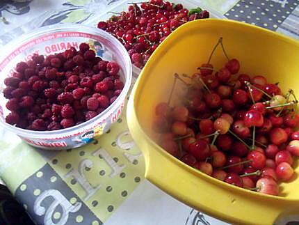 recette vin de framboises  recette de maryline et !!!!!!!!!!!!!!!!!!!!!!!!!mirabelle et jean