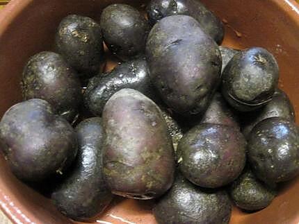 recette Boulettes de pommes de terre vitelottes au basilic.