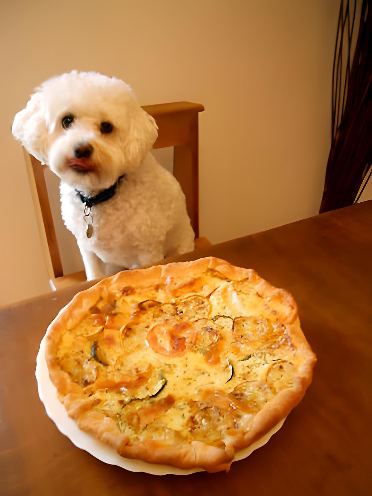 recette TARTE AUX COURGETTES