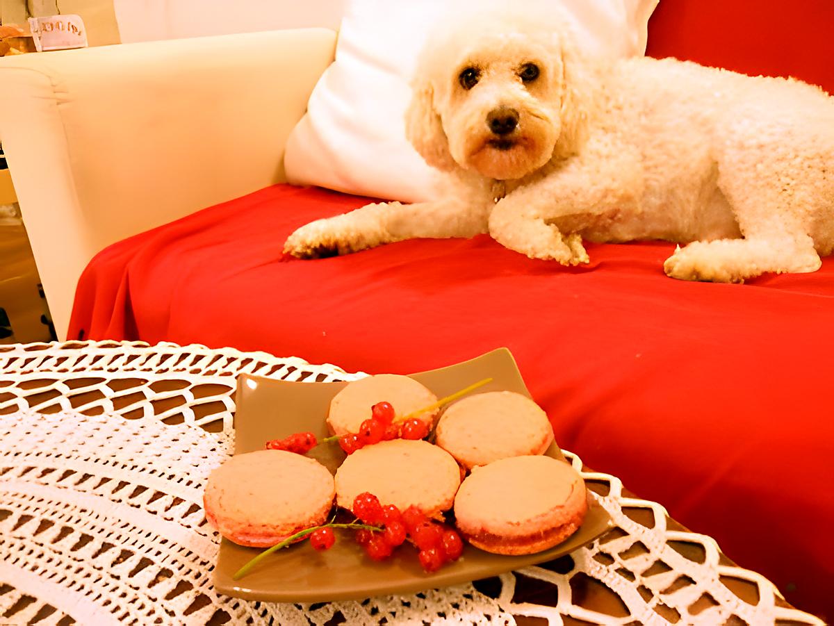 recette MACARONS A LA FRAMBOISE