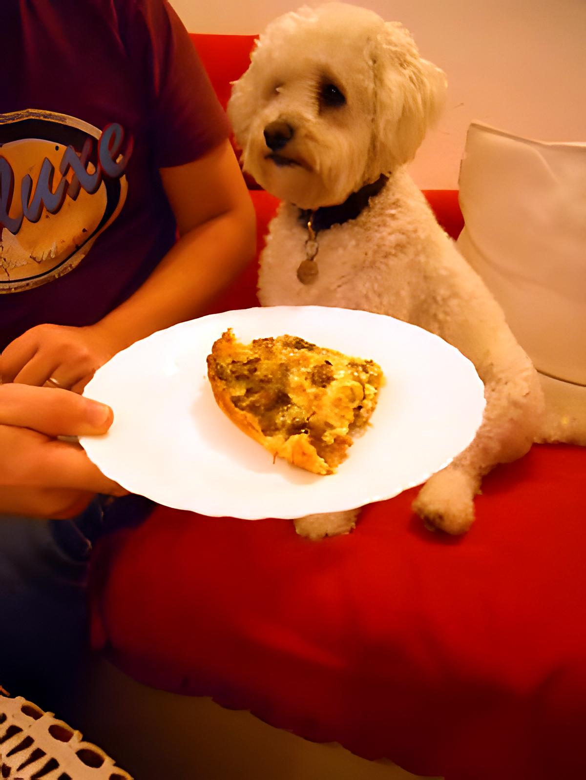 recette TARTE AUX CHAMPIGNONS / VIANDE