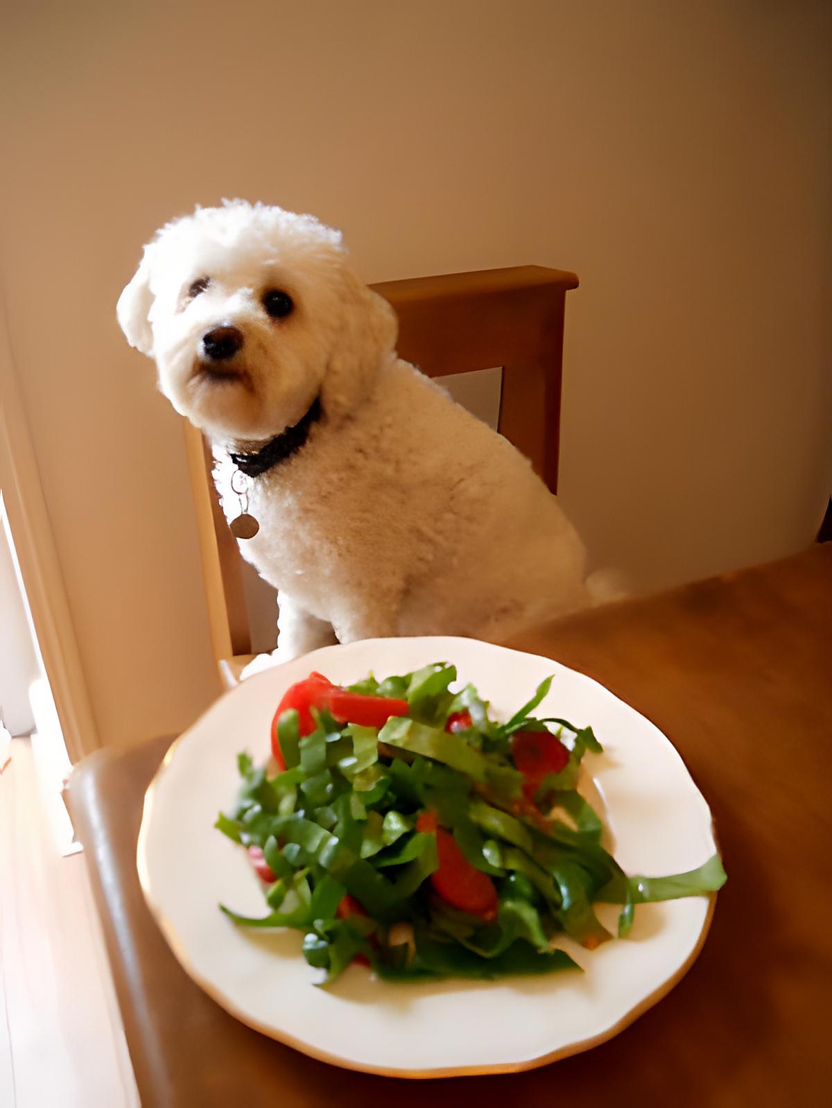 recette SALADE DE TETRAGONE