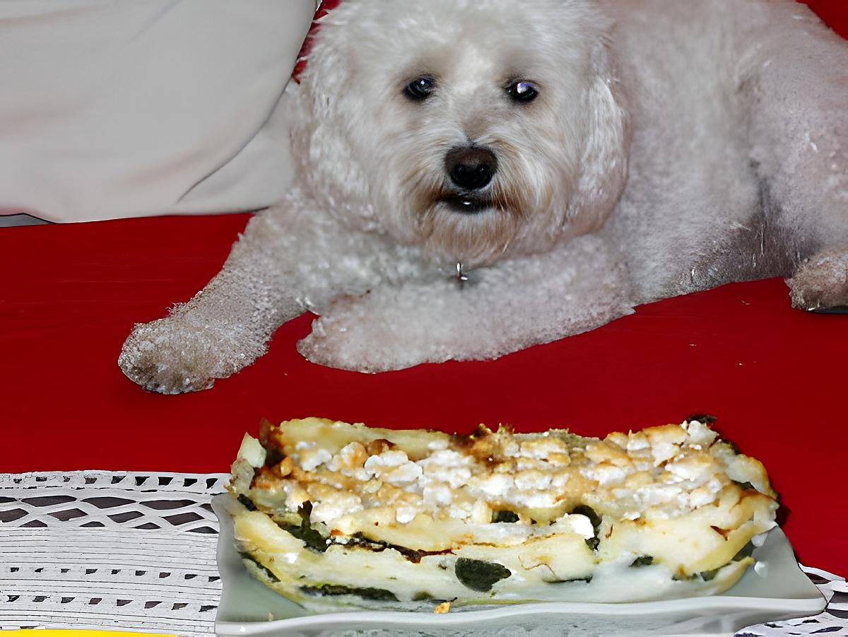 recette LASAGNES -TÉTRAGONE/FETA