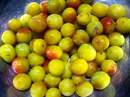 recette Gâteau aux mirabelles.