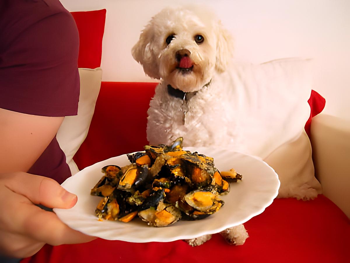 recette MOULES  A LA CHAPELURE