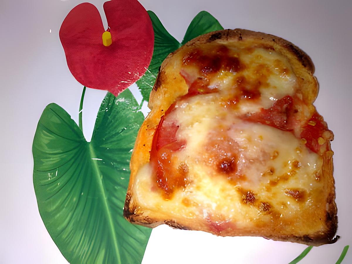 recette ~Tartine tomates mozzarella~