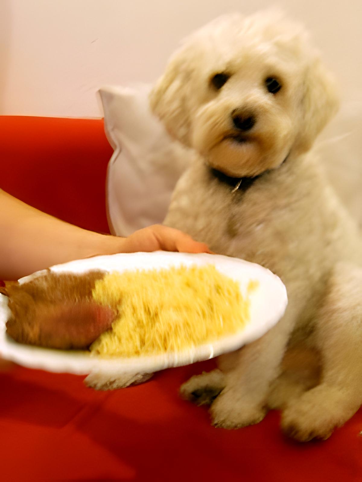 recette RISOTTO DE PÂTES "langues d’oiseaux"