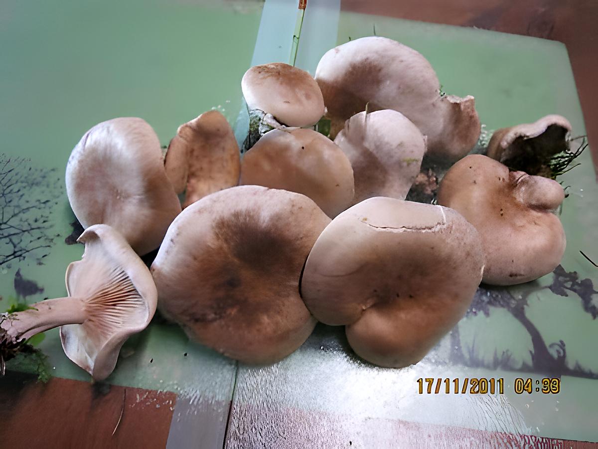 recette Congélation des pleurotes.( champignons).