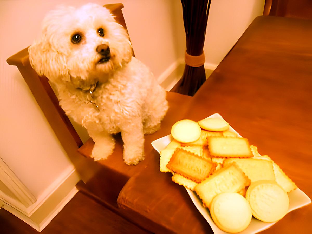 recette PETITS BISCUITS "MAISON"