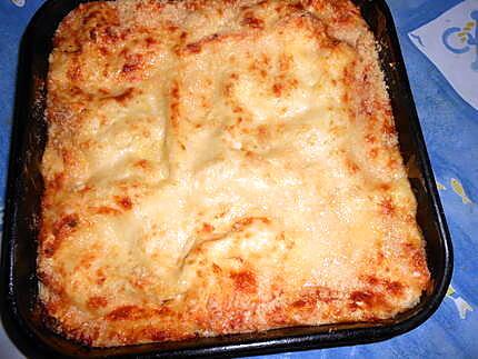 recette Lasagne au saumon