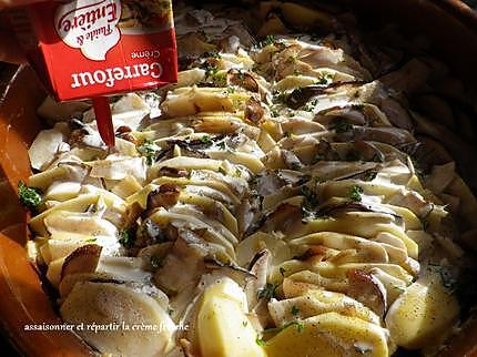 recette gratin de cèpes aux pommes de terre