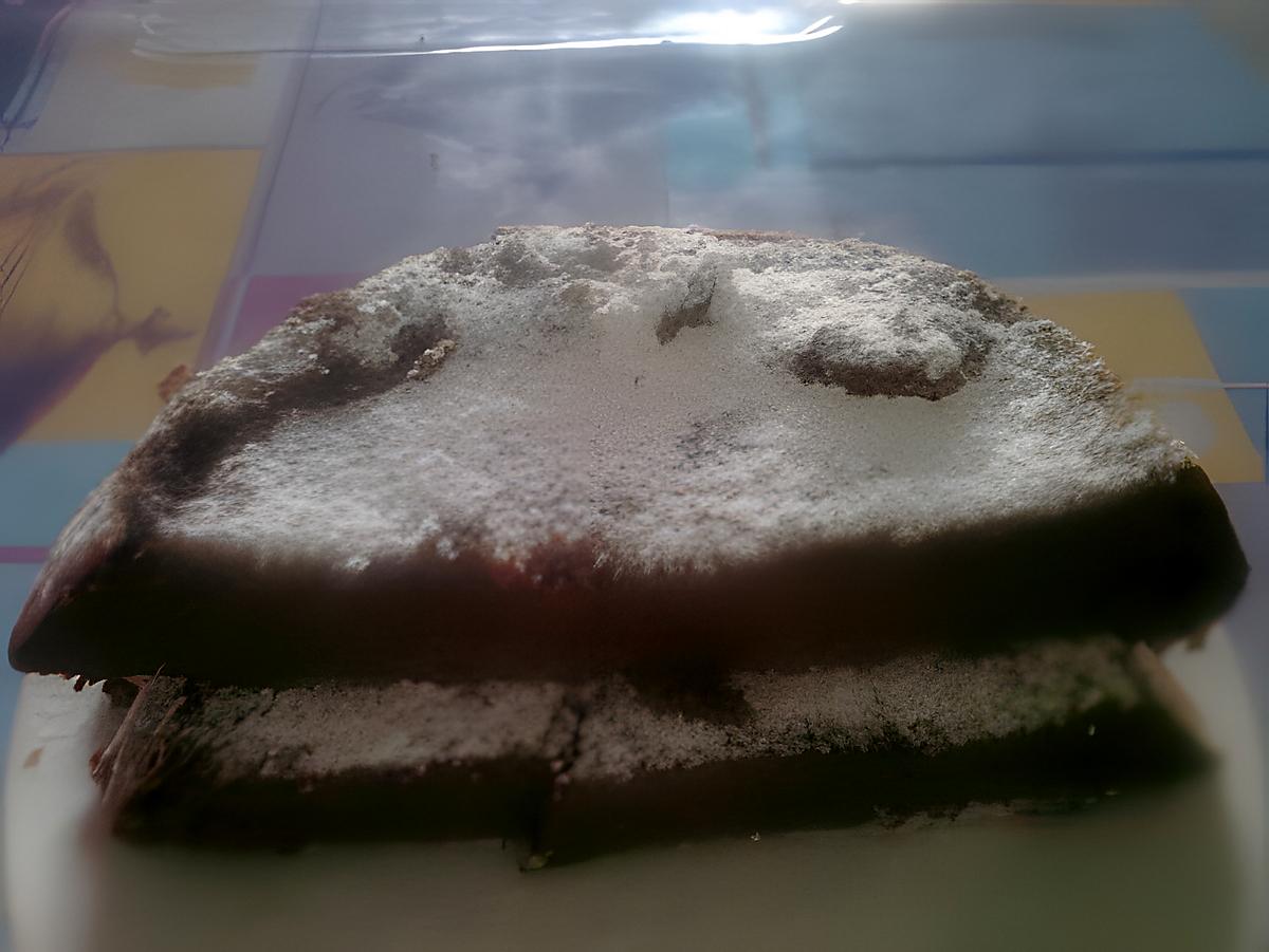 recette MOELLEUX  AU  CHOCOLAT  ET  RICOTTA