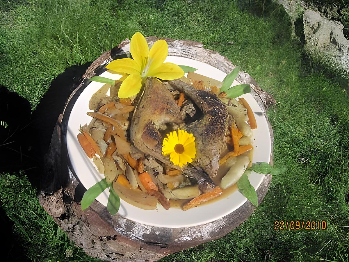 recette Cuisses de canard aux carottes et radis noirs. en WOK.