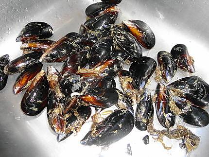 recette moules tomates curry