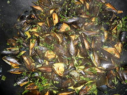 recette Moules au curry