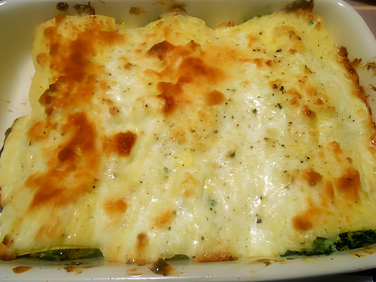 recette CANNELLONI   GRATINATI