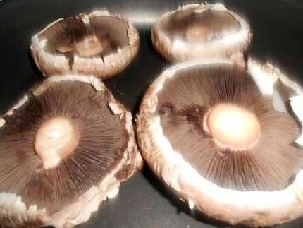 recette FUNGHI  RIPIENI  (CHAMPIGNONS FARCIS)