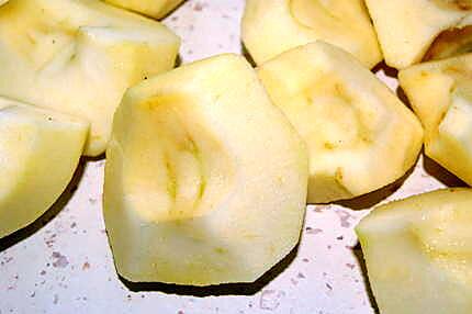 recette Magret d'oie aux pommes