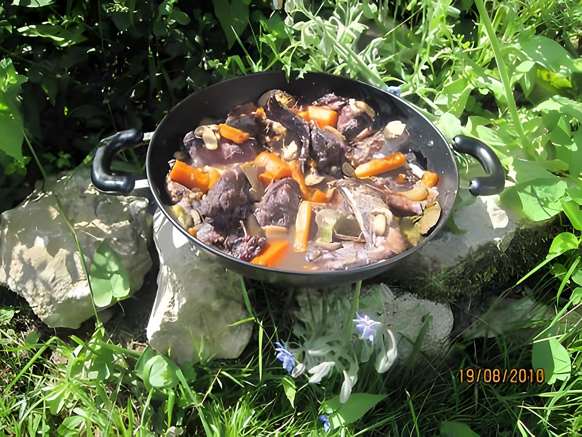 Coq et légumes au vin rouge en WOK.Tatie. Coq-et-legumes-au-vin-rouge-wok