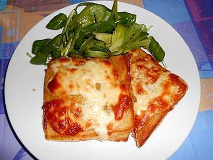 recette CROQUE  MONSIEUR   ET RESTES  DE  FROMAGE