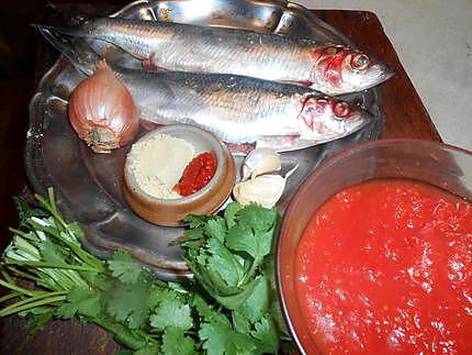 recette Hareng a la sauce tomate épicée