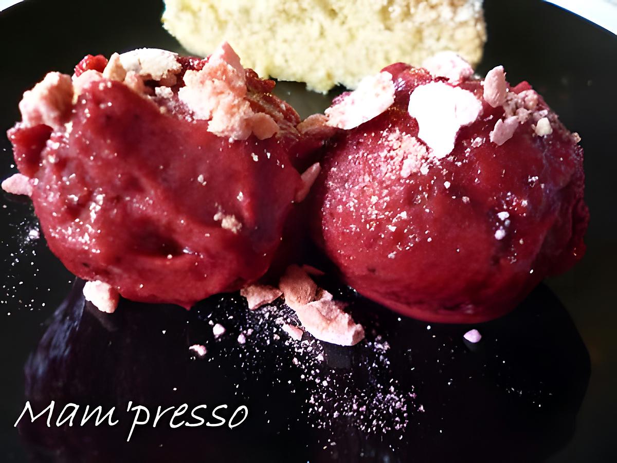 recette Sorbet de fruits rouges (sans sorbetière)