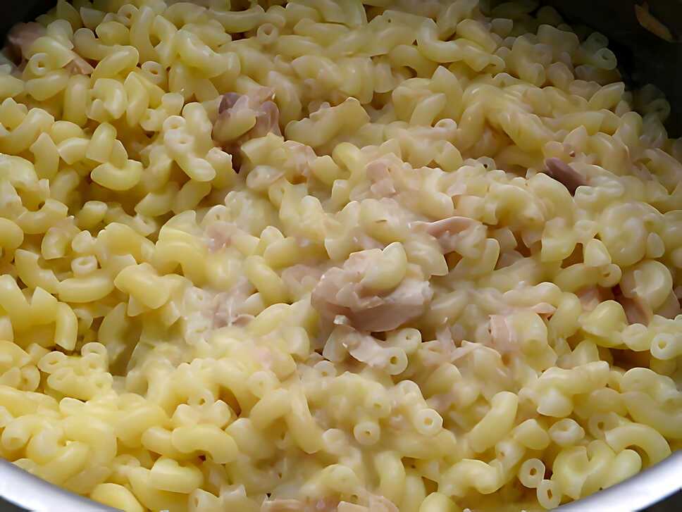 recette Gratin de coquillettes au thon