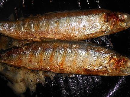 recette Hareng grillé aux endives moutardées