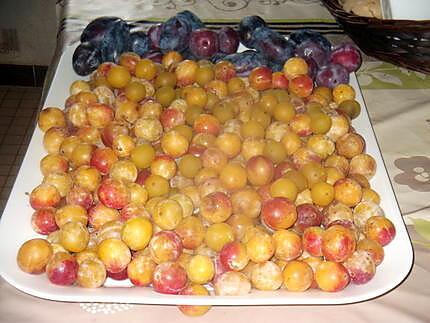 recette gateau mirabelles  et pommes