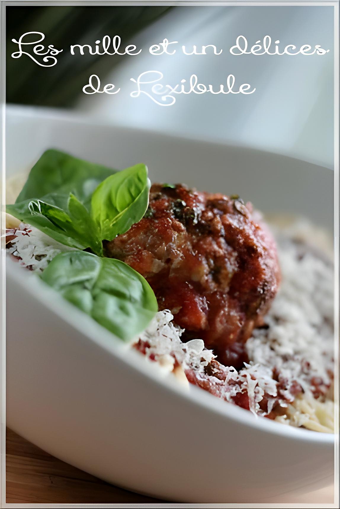 recette ~Spaghettis à la boulette géante~