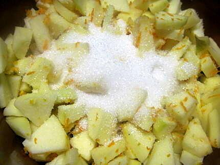 recette Compote de pommes aux zestes de clémentines.