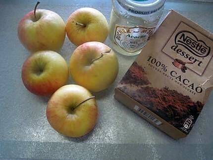 recette Compote de pommes au chocolat et miel.