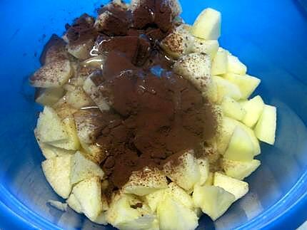 recette Compote de pommes au chocolat et miel.