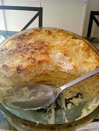 recette Lasagne ricotta saumon