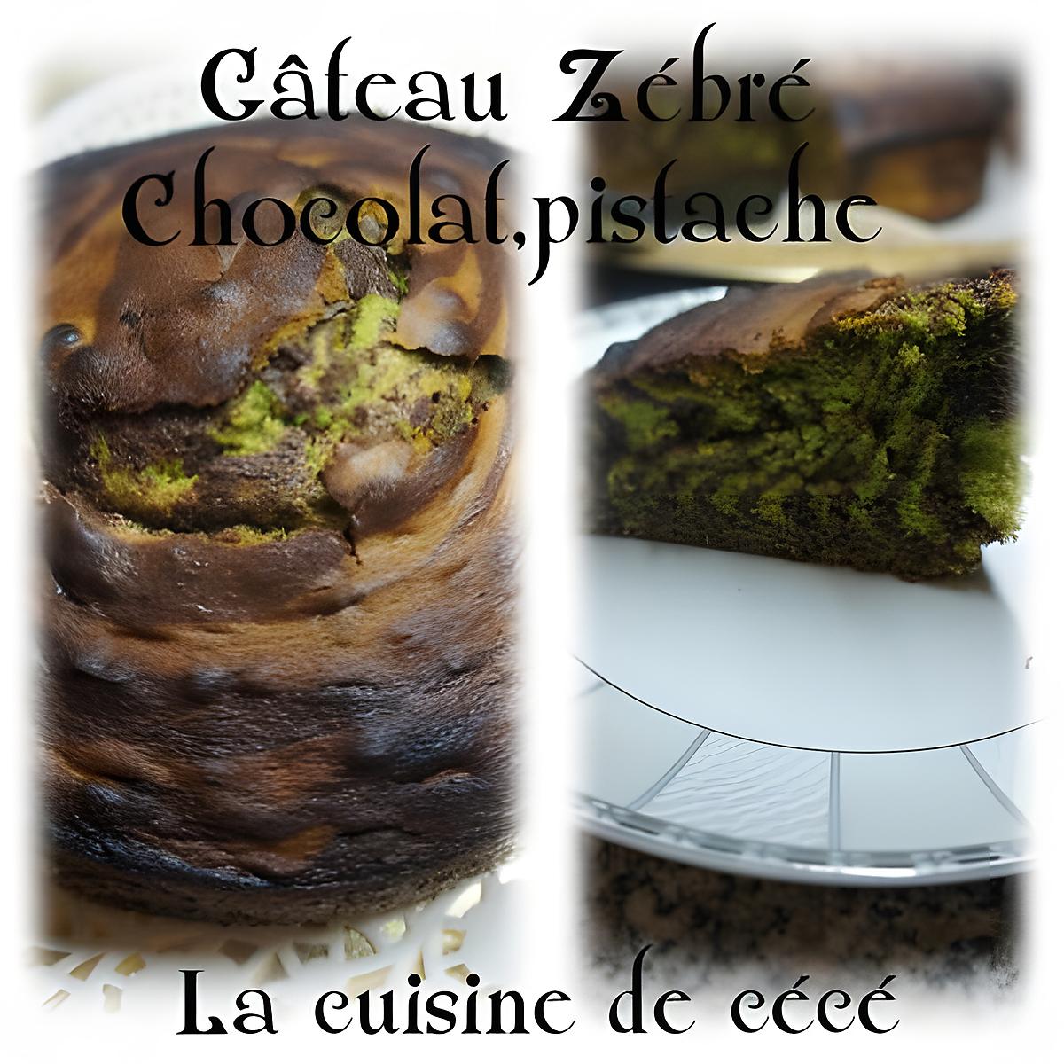 recette Gâteau zébré chocolat/pistache