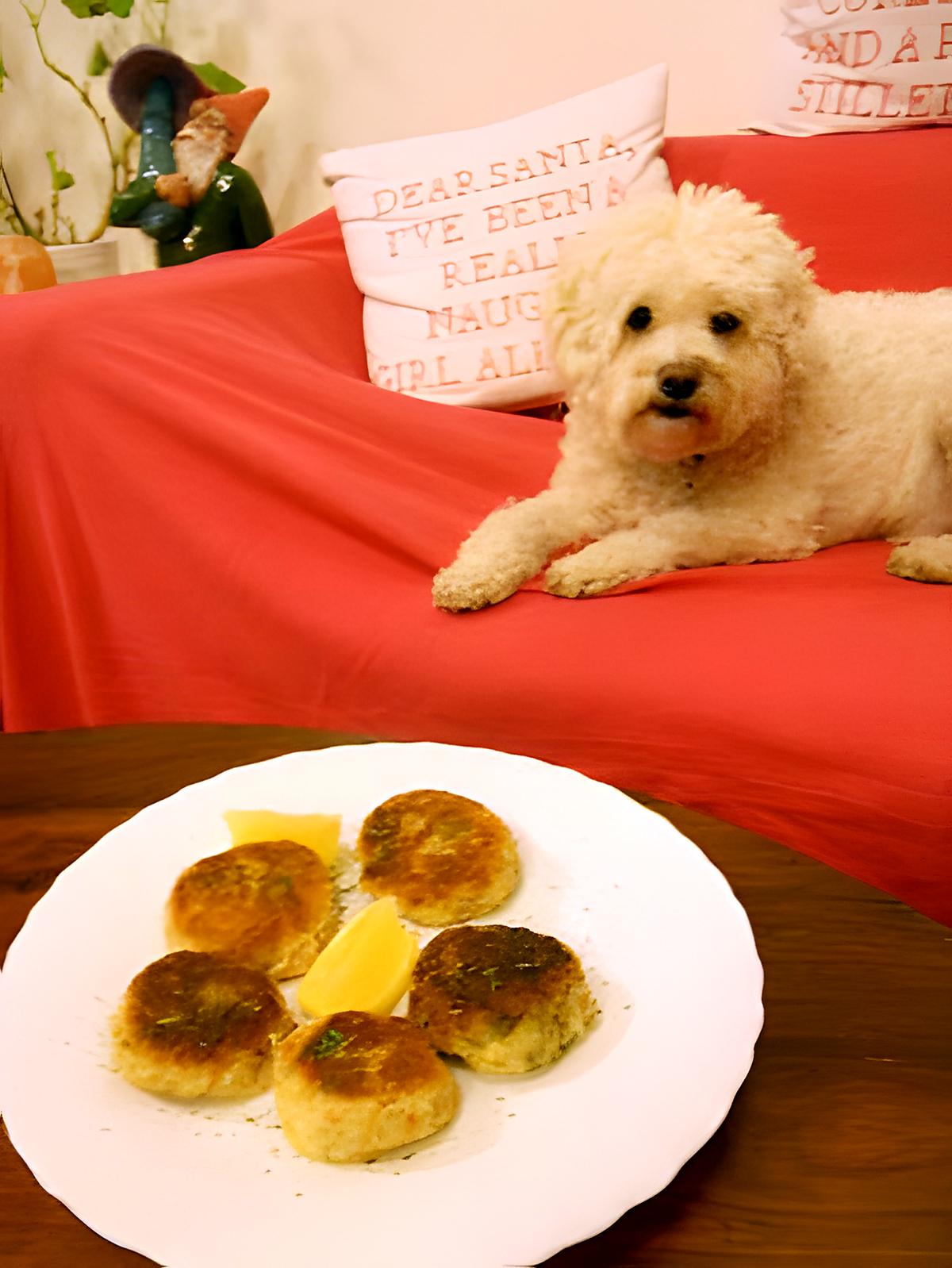 recette BOULETTES AU THON