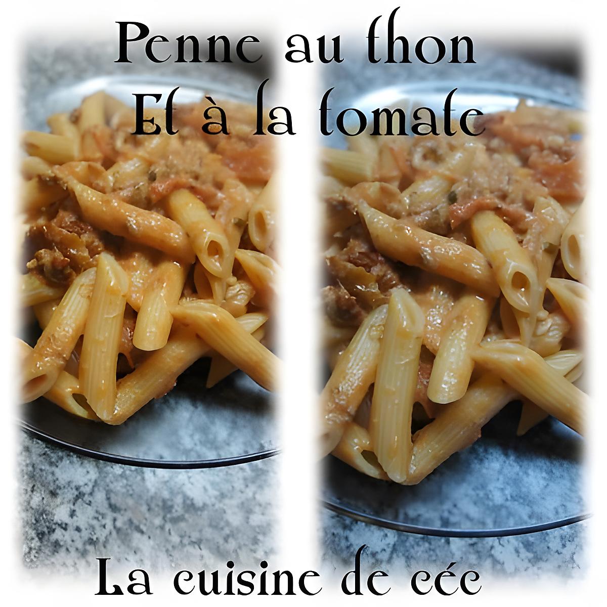 recette Penne au thon et à la tomate