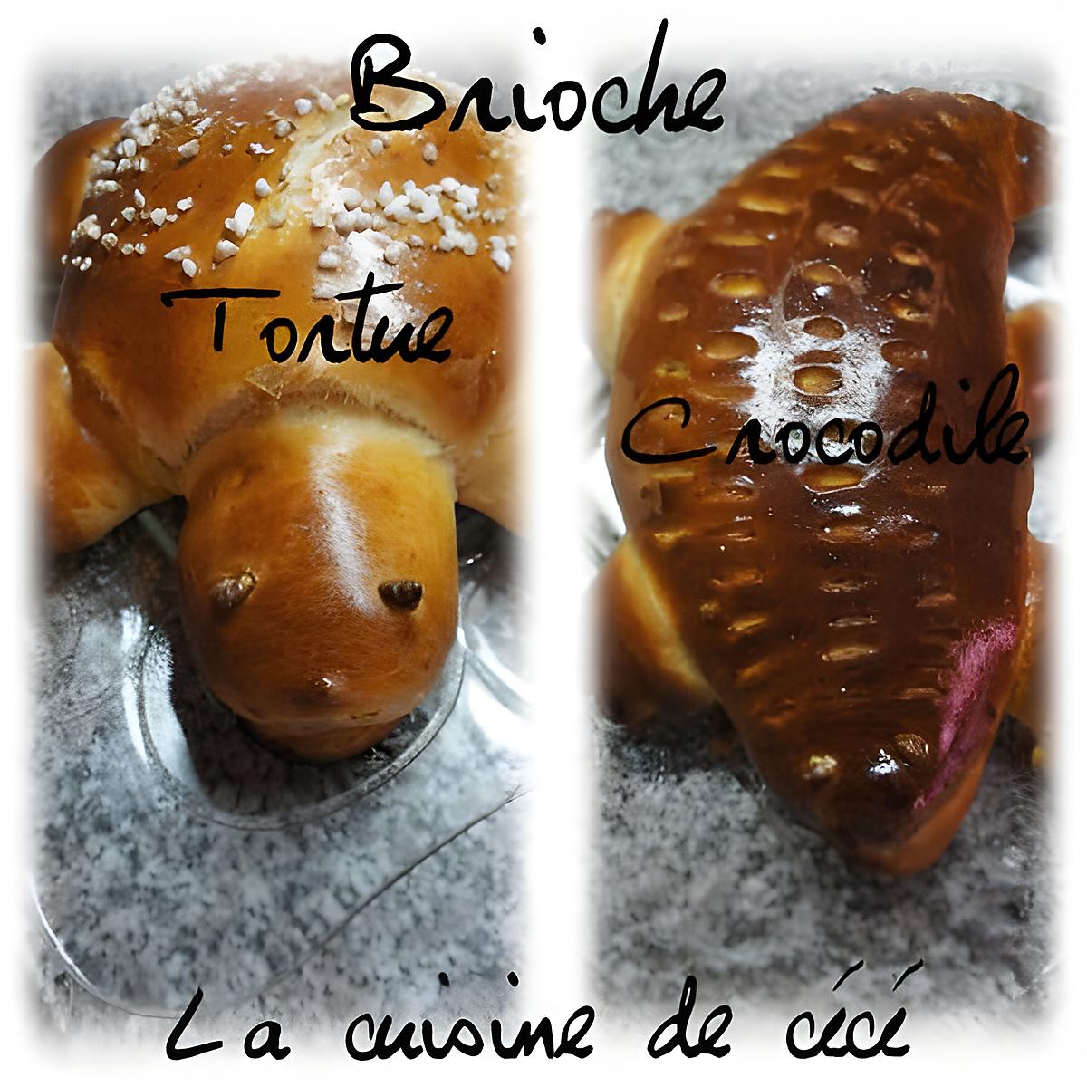 recette Brioche tortue et crocodile