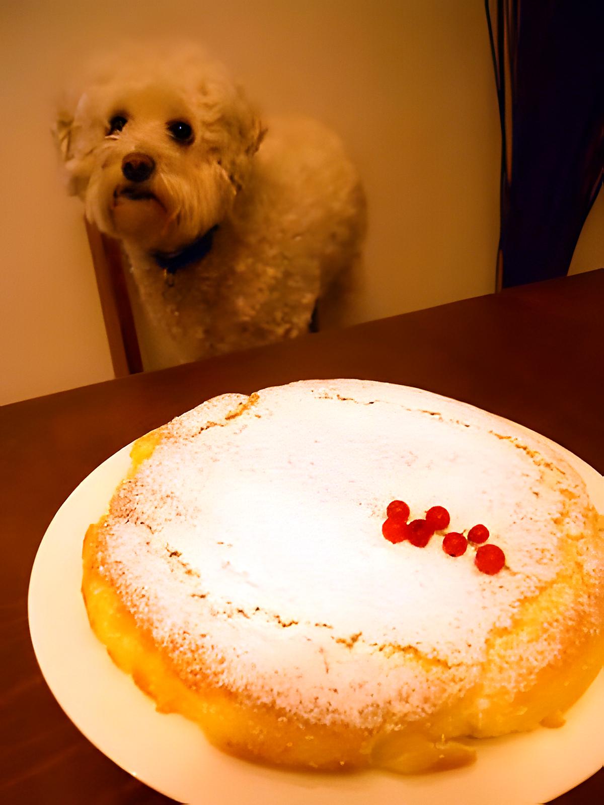 recette GÂTEAU MAGIQUE DE ROSY