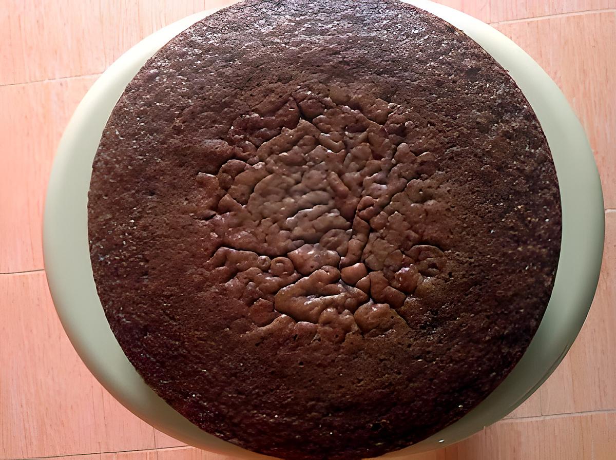 recette Gateau au chocolat a la danette